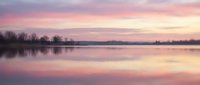 Serene dawn landscape with calm water reflecting pink and purple sky, bare trees along shoreline, peaceful nature scene for relaxation and meditation projects.