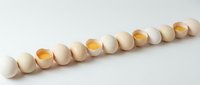 Row of wooden beads in natural and golden yellow colors arranged in line on white background for crafting and jewelry making projects.