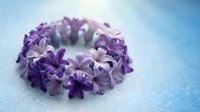 Purple and white lilac flowers arranged in circular wreath on soft blue background for spring decoration and floral design projects.