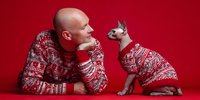 Bald Caucasian man in red Christmas sweater looking at Devon Rex cat wearing matching holiday outfit on red background for festive pet owner portraits.