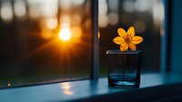 Young yellow flower in clear glass vase with water on windowsill at sunset, golden hour light streaming through window creating warm atmospheric glow for home decor and nature themes.