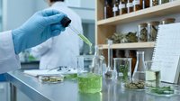 Scientist in blue gloves conducting botanical research, pipetting green liquid into glass beakers in laboratory setting with plant specimens and shelving.
