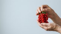 Senior adult hands holding fresh red currant berries against white background, suitable for food, nutrition, healthy eating, and agricultural marketing materials.
