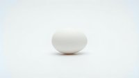 Single white chicken egg on clean white background isolated for cooking, baking, breakfast recipes and food photography projects.