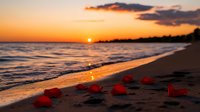 Red rose petals scattered along sandy beach at sunset with gentle waves and golden sun reflecting on ocean surface creating romantic atmosphere.