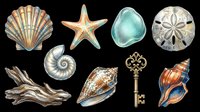 Watercolor ocean clipart set with seashells, starfish, sea glass, sand dollar, driftwood, and vintage key, isolated on transparent background, ready for stickers, sublimation, and t-shirt design.