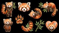 Red panda collection with isolated animals, paws, bamboo leaves and heart shape on transparent background. Ready for t-shirt design, clipart, stickers, sublimation and print-on-demand projects.