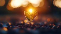 Young green plant sprout growing in soil at sunset with golden bokeh lights and sun flare, symbolizing growth, hope and new beginnings in nature.
