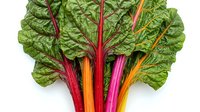 Vibrant rainbow chard with red, pink, orange and yellow stems isolated on white background, ready for culinary, nutrition and healthy eating design projects.