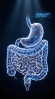 Glowing digital stomach and intestines with blue neural network connections on dark background, representing metabolic flow and digestive system health for medical and healthcare applications.