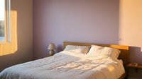 Cozy bedroom with warm sunlight streaming through window, wooden bed frame, soft bedding, and mauve accent wall creating serene morning atmosphere.