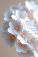Delicate white plumeria flowers with soft peach centers in macro view against blurred neutral background, creating dreamy romantic mood for wedding designs.