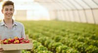 Young male farmer holding crate of fresh strawberries in greenhouse with rows of plants. Agricultural worker harvesting produce.