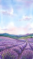 Lavender field landscape with rolling hills, winding road, and soft pastel sky in watercolor style. Suitable for wall art, home decor, travel themes, and nature-inspired designs.