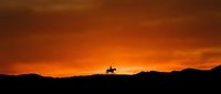 Silhouette of a cowboy on horseback against a dramatic orange sunset sky with mountain ridges, evoking western frontier themes for design and media projects.