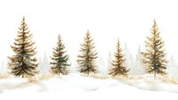 Winter spruce trees standing in snow with golden grass on white background, isolated nature elements for seasonal design and holiday decorations.