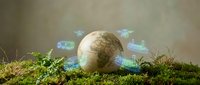 Wooden globe surrounded by holographic digital icons on moss surface representing global technology and environmental sustainability concepts.