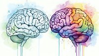 Creative watercolor brain illustration showing left and right hemispheres with colorful paint drips representing logic versus creativity concepts.