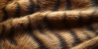 Close-up of luxurious brown and black striped animal fur texture showing natural pattern and soft fibers. Ideal for fashion or wildlife designs.