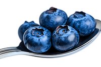 Fresh ripe blueberries on silver spoon macro close up view. Natural organic antioxidant superfood berries isolated on white background for healthy eating concept.