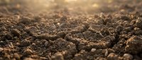 Macro close-up of rich, dark soil texture with natural particles and organic matter, suitable for agriculture, gardening, environmental, and earth science content.