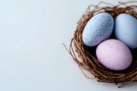 Colorful speckled Easter eggs in wicker nest on white background for spring holiday celebration and seasonal decoration projects.