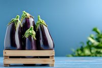 Fresh ripe eggplants with green stems in wooden crate against blue background, organic vegetables for healthy cooking and Mediterranean cuisine.