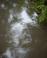Raindrops creating concentric circles and ripples on dark water surface with green foliage reflection, moody atmospheric nature photography for environmental themes.