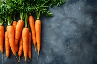 Fresh organic carrots with green tops arranged in row on dark concrete background. Raw vegetables for healthy eating and cooking. Copy space for text.