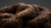 Close-up of soft brown fur texture with natural highlights, suitable for wildlife, animal care, grooming, and textile design projects.