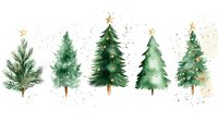 Watercolor pine and spruce trees with gold star toppers in row composition on white background, winter holiday design elements for seasonal greeting cards.