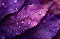 Vibrant purple leaves with water droplets creating a fresh, dewy texture. Macro photography captures nature's details for backgrounds, wellness concepts, or seasonal designs.