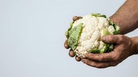 Male hands with medium-dark skin tone holding fresh raw cauliflower head against white background. Suitable for organic food, healthy eating, agriculture, and nutrition-related designs.