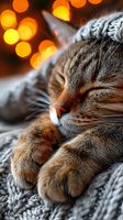 Peaceful tabby cat sleeping on cozy knitted blanket with warm bokeh lights creating magical holiday atmosphere for home comfort and relaxation themes.