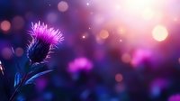 Vibrant purple thistle flower silhouette against magical twilight bokeh background with glowing orbs and sparkles creates dreamy nature atmosphere.