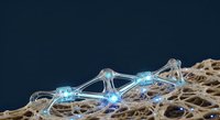 Transparent crustaceans with glowing blue bioluminescent bodies on dried seaweed, isolated on dark background for design and scientific illustration use.
