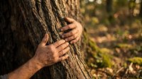 Hands embracing tree trunk in forest showing connection with nature and environmental conservation concept for outdoor wellness campaigns.