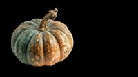 Green and orange speckled pumpkin isolated on transparent background, ready for fall harvest designs, stickers, t-shirts, print on demand, and sublimation projects.