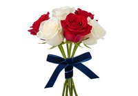 Bouquet of red and white roses with green stems tied with navy blue ribbon bow, isolated on white background for floral design, greeting cards, and wedding arrangements.
