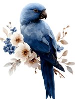 Blue macaw parrot with white flowers and blue berries on branch, watercolor style artwork on isolated background for wall art and home decor.