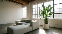 Spacious loft interior with modular sofa, large windows, concrete floors, and potted plant in minimalist industrial setting for contemporary home design.