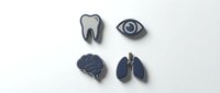 Four navy blue enamel pins of human organs: tooth, eye, brain, and lungs, arranged on a white background, isolated for design use.