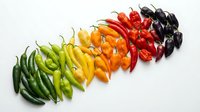 Colorful assortment of fresh chili peppers arranged in a rainbow gradient from green to purple on a white background.