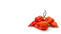 Red hot chili peppers isolated on white background for culinary and cooking designs.