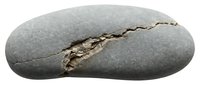 Smooth gray stone with natural crack revealing organic texture inside, suitable for geology, nature, and educational materials.