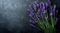 Fresh lavender flowers bouquet on dark textured background with copy space for aromatherapy spa wellness natural organic herbal medicine design.