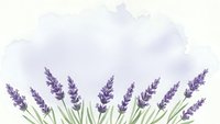 Watercolor lavender flowers with green stems on soft purple background for aromatherapy and wellness designs.
