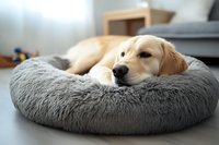 Adorable golden retriever puppy resting comfortably on soft gray pet bed in modern home interior, perfect for pet care and animal wellness content.
