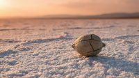 Round stone with natural cracks resting on sandy beach at golden hour sunset, suitable for nature, travel, and coastal background imagery.