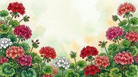Watercolor geranium flowers border with red, pink and white blooms on soft green background, copy space for text, greeting card or poster.